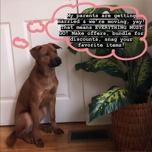 EVERYTHING MUST GO!!!!!🎉🎉🎉🎉